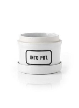 预订Into Pot Planter w/ Drip Tray