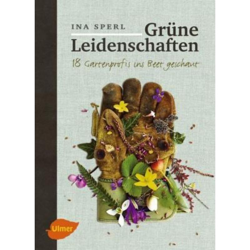 预订，预计下单后3-6周左右发货！