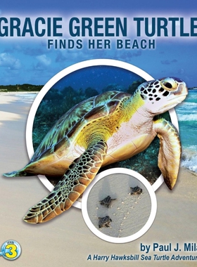 按需印刷不退不换Gracie Green Turtle Finds Her Beach[9781947239234]