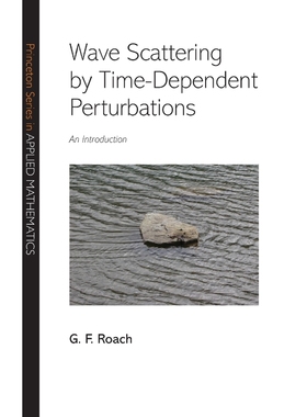按需印刷Wave Scattering by Time-Dependent Perturbations[9780691113401]