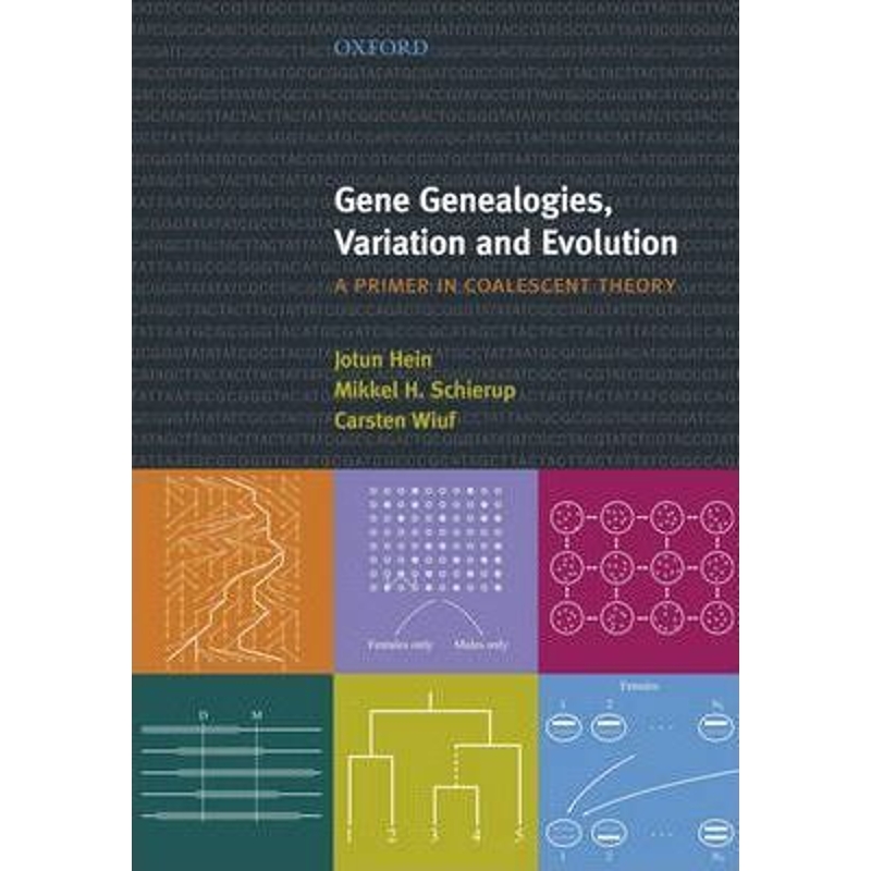 预订，预计下单后2-3周左右发货！