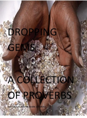 按需印刷DROPPING GEMS A COLLECTION OF PROVERBS VOL.1[9781366526014]