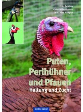 预订【德语】 Puten, Perlhühner und Pfauen:Haltung und Zucht