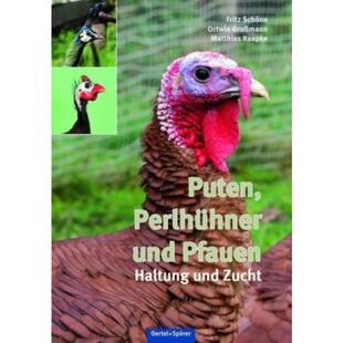 Perlhühner Puten und Pfauen Zucht 预订 Haltung 德语