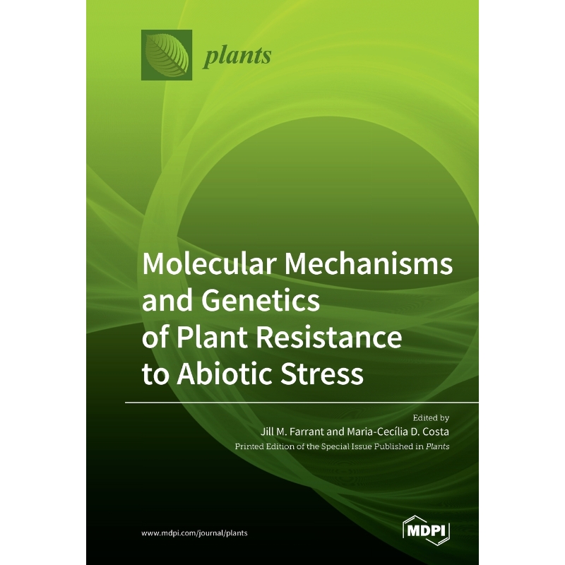 预订，预计下单后2-3周左右发货！
