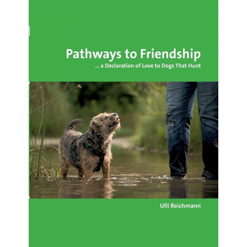 预订，预计下单后2-3周左右发货！