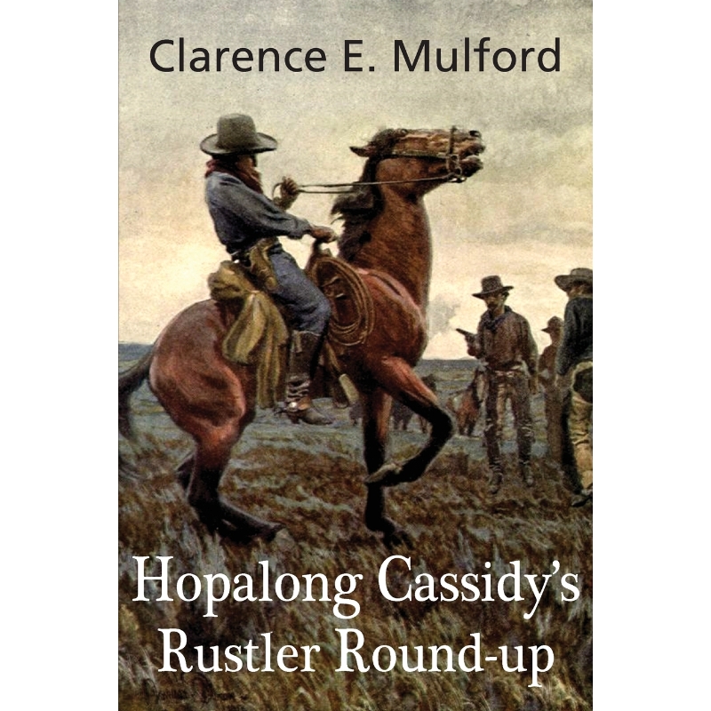 预订，预计下单后2-3周左右发货！