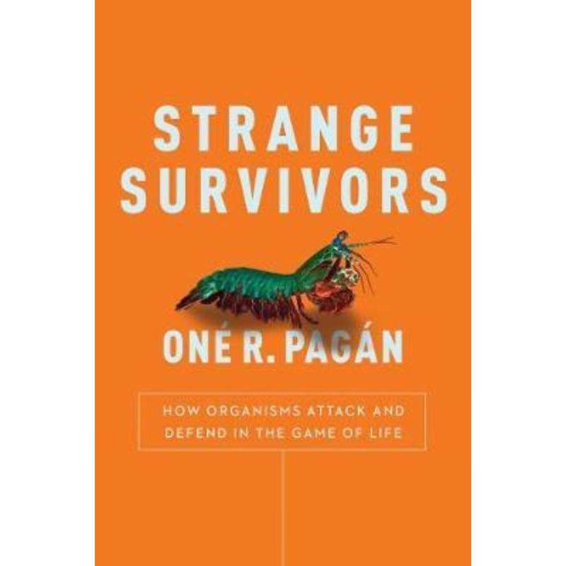 预订，预计下单后3-6周左右发货！