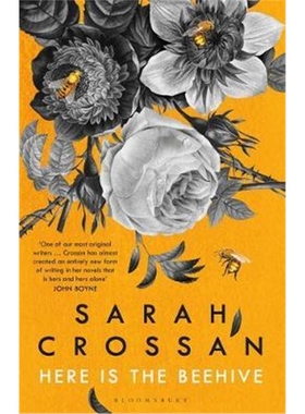 预订Here is the Beehive:Shortlisted for Popular Fiction Book of the Year in the AN Post Irish Book Awards