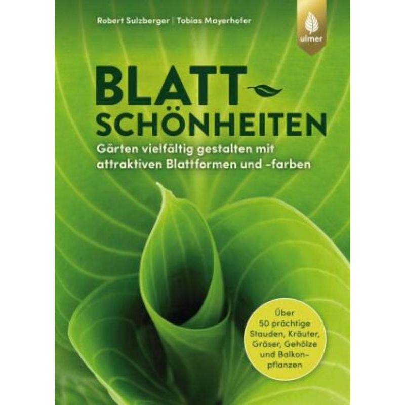预订，预计下单后3-6周左右发货！