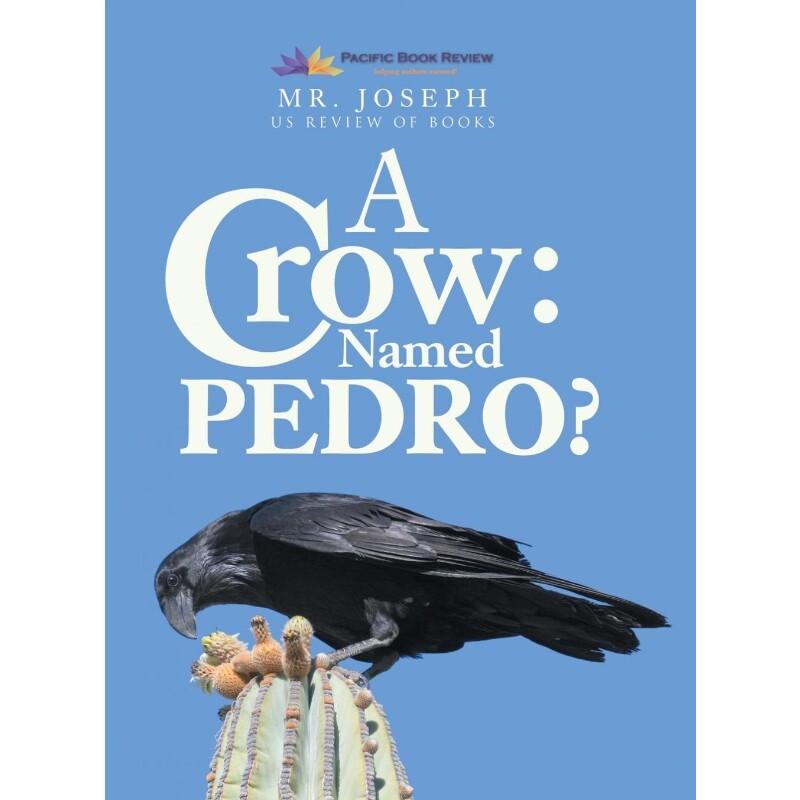 预订，预计下单后2-3周左右发货！