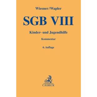 预订不退不换德语 SGB VIII:Kinder- und Jugendhilfe