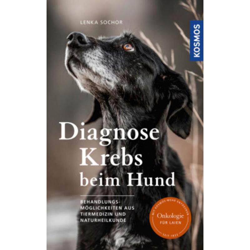 预订不退不换德语 Diagnose Krebs beim Hund:Behandlungsmöglichkeiten aus Tiermedizin und Nat