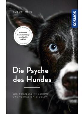 预订不退不换德语 Die Psyche des Hundes:Wie Prozesse im Gehirn das Verhalten steuern