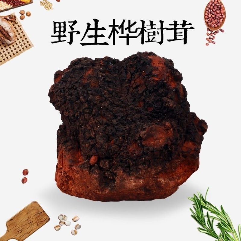 桦树茸原装野生白桦茸桦褐黑金颗粒高浓度正宗白桦榵桦褐孔菌正品