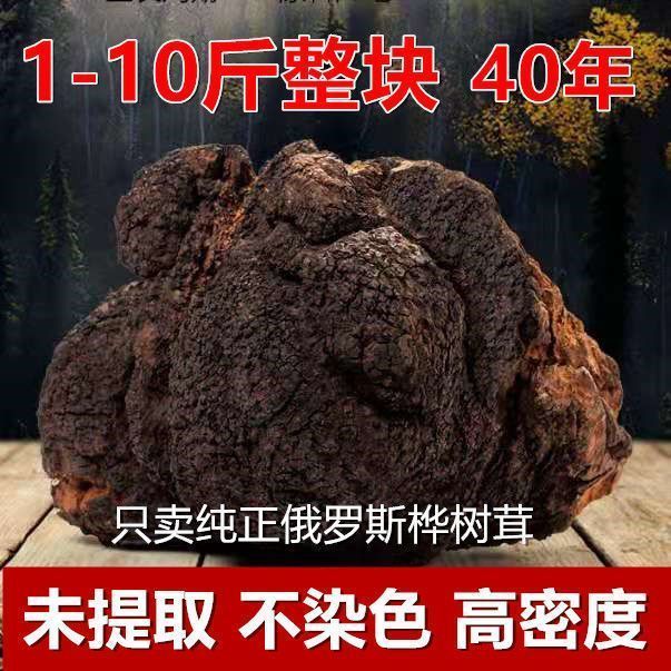 俄罗斯进口桦树茸大块纯正白桦茸野生桦褐特孔菌黑金整块原始大块