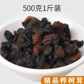 桦树茸原装 野生白桦茸桦褐黑金颗粒特级正宗白桦榵桦褐孔菌