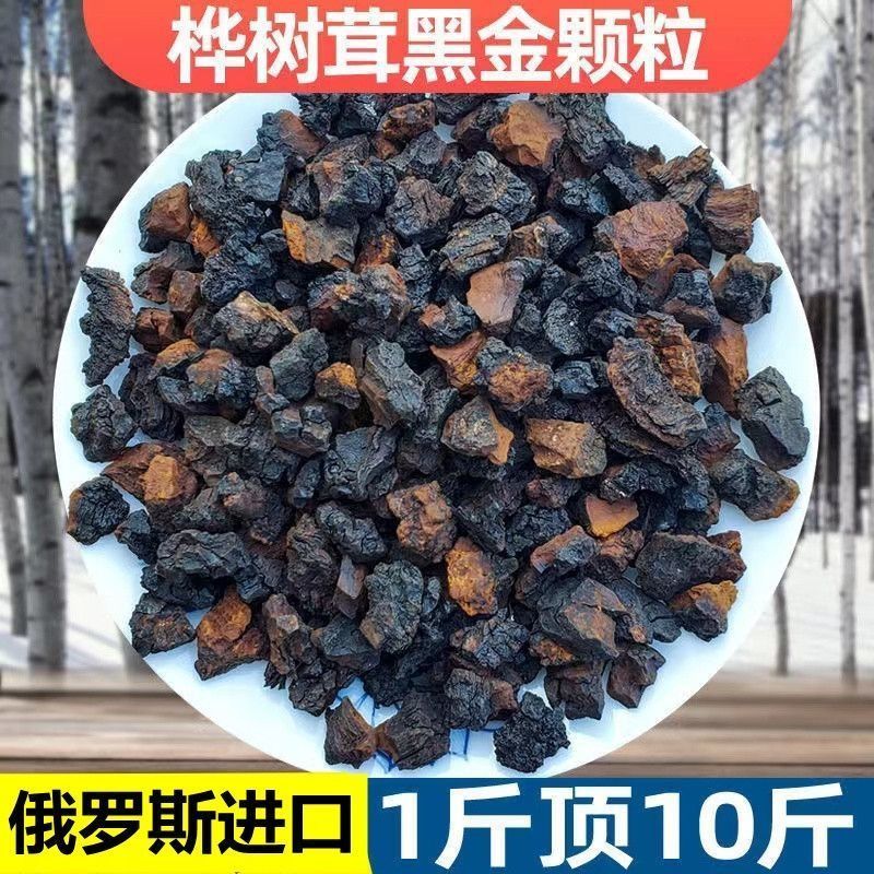 俄罗斯桦树茸60年份高年份精品切块高三小糖人野生桦褐孔菌黑金