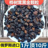 俄罗斯桦树茸60年份高年份精品切块高三小糖人野生桦褐孔菌黑金