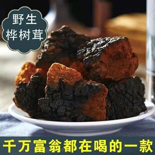 俄罗斯桦树茸桦褐孔菌野生白桦茸非长白山带黑皮切块白桦茸