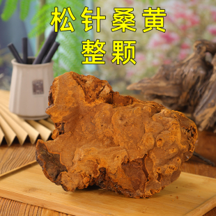 松针桑黄西藏墨脱松针层孔菌松树桑黄高年份老肉块厚肉块滋补养生
