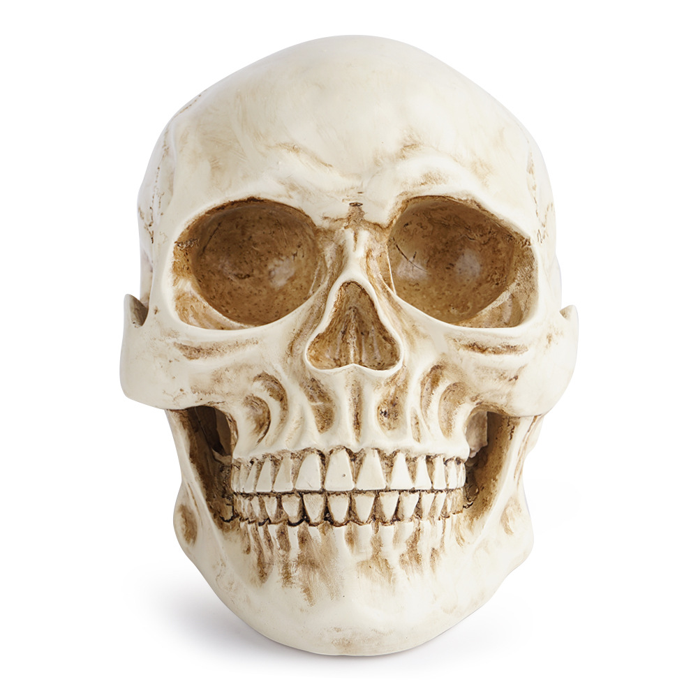 快时尚个性新款骷髅头摆件 时尚潮流家居饰品 恐怖复古鬼头万圣节