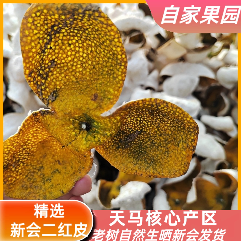 2025年驳枝天马新会大红皮二红皮新会陈皮正宗特产中药材新品推荐
