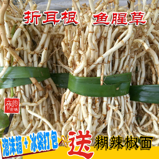 折耳根 鱼腥草 贵州省特产 小吃新鲜农产品食用蔬菜
