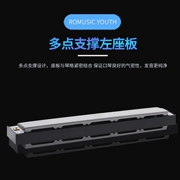 Romusic Harmonica 24 lỗ đa âm C giai điệu cho người mới bắt đầu trẻ em người lớn chuyên nghiệp giai điệu piano giới thiệu nhạc cụ tự học - Nhạc cụ phương Tây