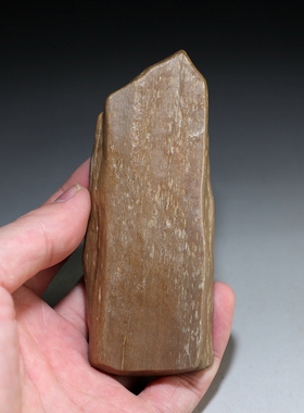 [圭]新疆硅化木原石 楼叔孤品