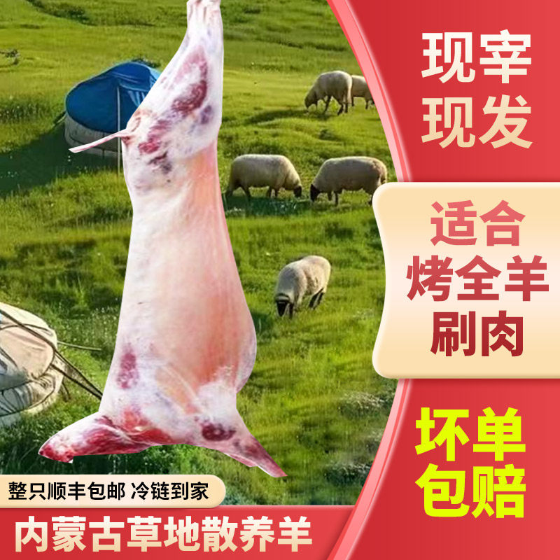 新鲜烤全羊整只羊肉酮体白条10生羊肉