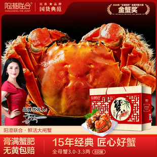 精品活蟹阳澄联合鲜活大闸蟹现货全母蟹12只螃蟹海鲜礼盒源头直发