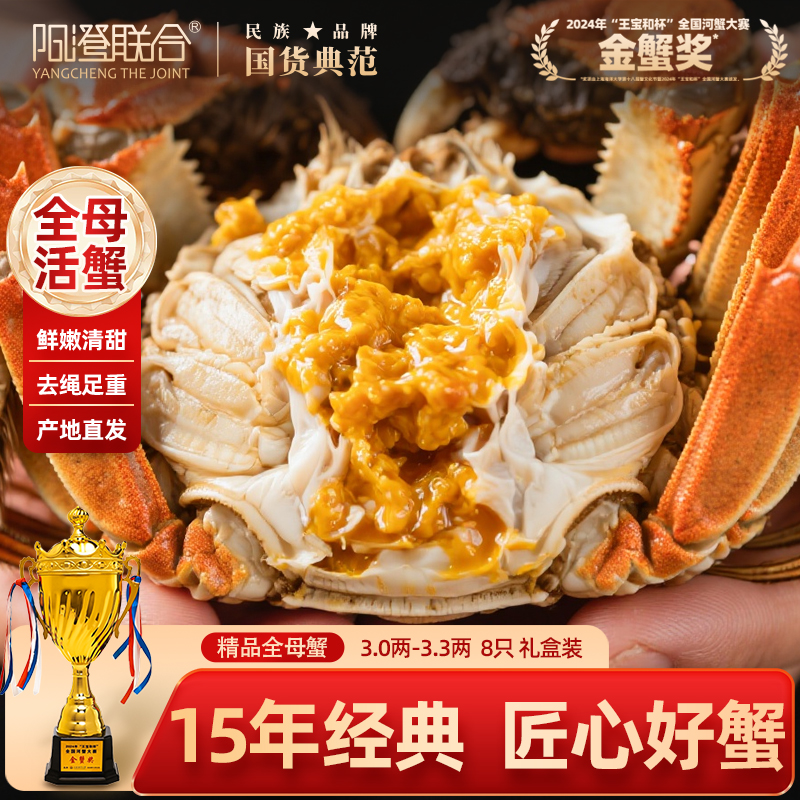 鲜活大闸蟹现货全母蟹12只