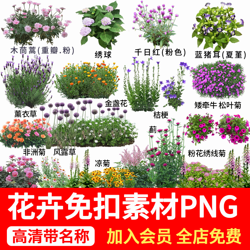 景观园林花卉花镜植物psd花坛效果图花境地被PNG免抠带名称素材库