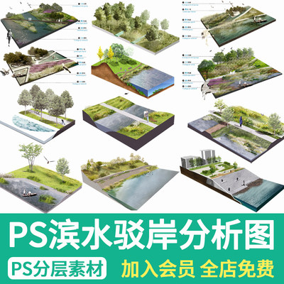 PS生态驳岸剖面分析图小清新滨水河道剖视透视效果图设计PSD素材