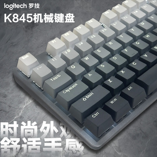 罗技K845有线机械键盘游戏办公彩色个性 背光青轴小数字双色马卡龙