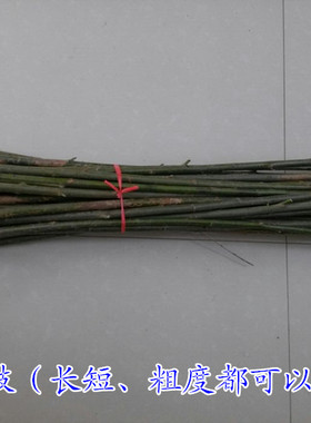 天然树枝 小树捆木段 干树枝 森系背景装饰小道具DIY装饰材料