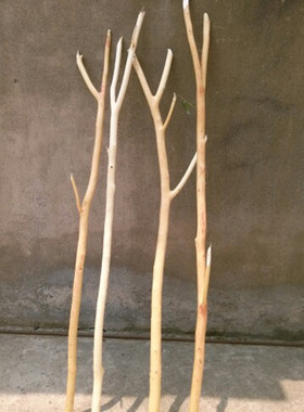 干树枝去皮挂衣装饰壁挂diy包邮