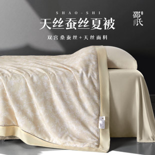 夏凉被 2025新品 莱赛尔天丝蚕丝被100桑蚕丝夏被可水洗邵氏