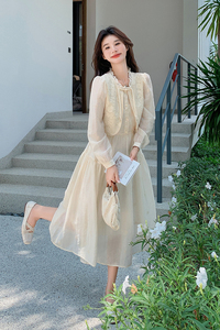 新中式盘扣刺绣假两件连衣裙女2025春夏新款国风收腰显瘦绝美长裙图片