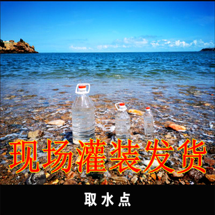 海水纯净真天然海水养海宠物水海洋鱼类寄居蟹包邮做实验用真海水