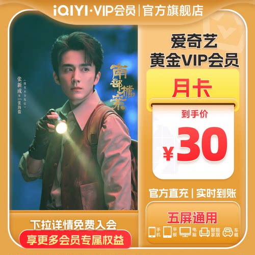 【黄金月卡】爱奇艺黄金vip视频会员1个月会员 南部档案