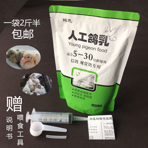 鸽乳人工包邮手养斑鸠
