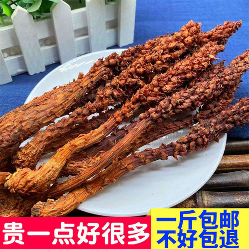 中药材不老草云南顶天柱野生草苁蓉正品回春草男性滋补泡酒500g