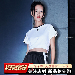 T恤 阿迪達斯三葉草女裝 新款 舒適純棉運動短袖 TEE 夏季 CALI