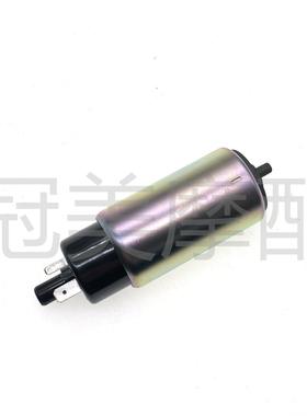 适用雅马哈摩托车ZR50 EVO2 BWS50汽油泵 燃油泵芯 马达电机