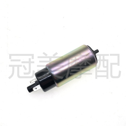 适用雅马哈摩托车ZR50 EVO2 BWS50汽油泵 燃油泵芯 马达电机