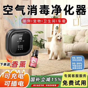 卫生间宠物除臭车载空气净化器室内消毒机厕所净味器祛异味负离子