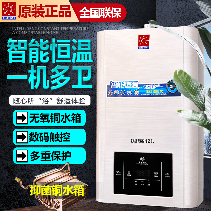 平衡式热水器燃气天然气液化气