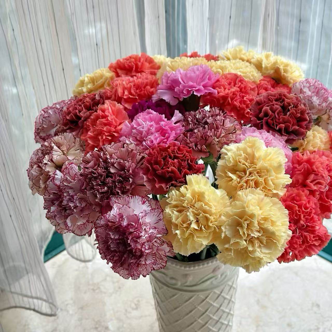 随机色康乃馨  云南直发一单中通,鲜花速递/花卉仿真/绿植园艺,花材,淘宝优惠券,粉丝福利购,淘宝优惠卷